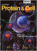 蛋白质与细胞期刊