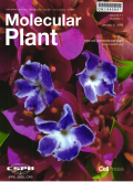 分子植物(英文版)期刊