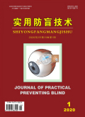 实用防盲技术期刊