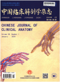 中国临床解剖学杂志期刊