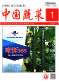 中国蔬菜期刊