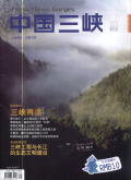 中国三峡(科技版)期刊