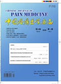 中国疼痛医学杂志期刊
